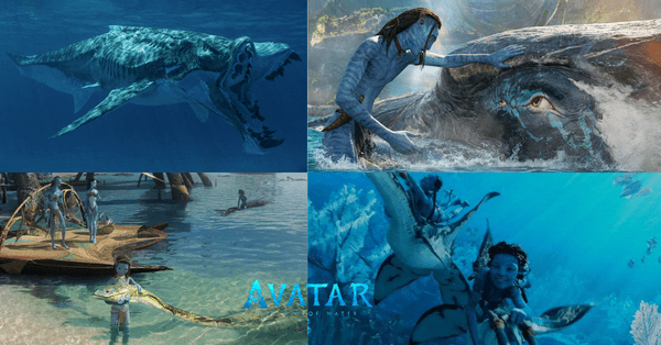Avatar imagens de animais aquáticos
